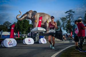 BIB: 
                            <button type="button" onclick="openModal(26541854)" class="btn btn-primary btn-sm float-right btn-popup" data-toggle="modal" data-target=".modal-high-quality">
                        <i class="fas fa-shopping-cart"></i> Add to Cart
                    </button>
                                            <button type="button" onclick="isThisMe(26541854, true)" class="btn btn-success btn-sm float-right btn-popup btn-isme hidden" data-toggle="tooltip" data-placement="bottom" title="นี่คือรูปของคุณใช่ไหม คลิกที่นี่เพื่อเอาเข้าอัลบั้ม">
                        <i class="fas fa-plus"></i> Add to album
                    </button>
                    <button type="button" onclick="isThisMe(26541854, false)" class="btn btn-warning btn-sm float-right btn-popup btn-isnotme hidden">
                        <i class="fas fa-ban"></i> Remove from album
                    </button>